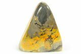 Free-Standing, Polished Bumblebee Jasper - Indonesia #261797-1